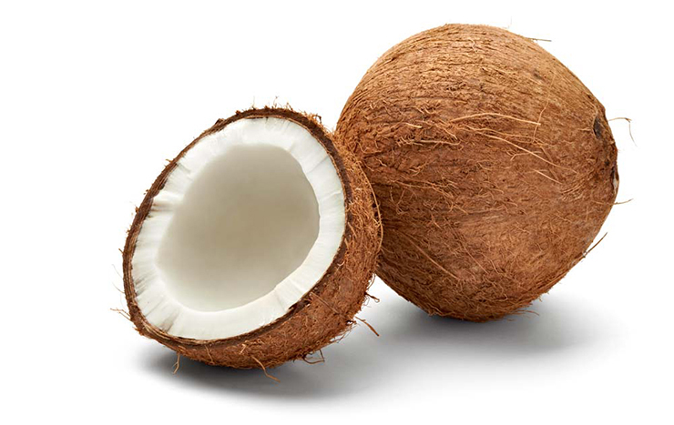 NOYA Lip Balm Series – Coconut Oil